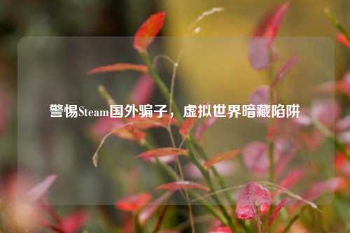警惕Steam国外骗子,虚拟世界暗藏陷阱