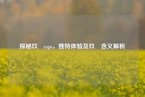探秘玖弎csgo，独特体验及玖弎含义解析