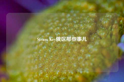 Steam Key俄区那些事儿