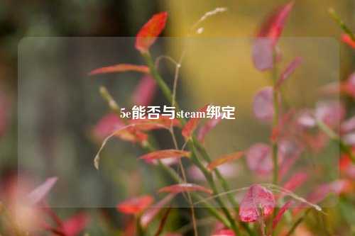 5e能否与steam绑定