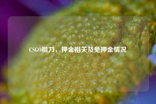 CSGO租刀，押金相关及免押金情况