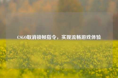CSGO取消锁帧指令，实现流畅游戏体验