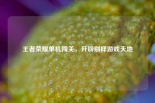 王者荣耀单机闯关，开辟别样游戏天地