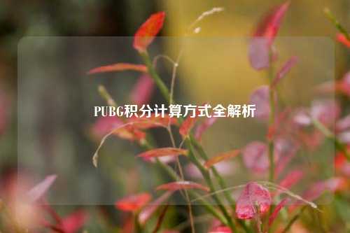 PUBG积分计算方式全解析
