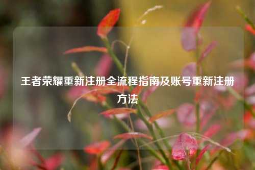 王者荣耀重新注册全流程指南及账号重新注册方法