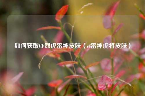 如何获取CF烈虎雷神皮肤（cf雷神虎将皮肤）