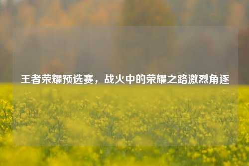 王者荣耀预选赛，战火中的荣耀之路激烈角逐