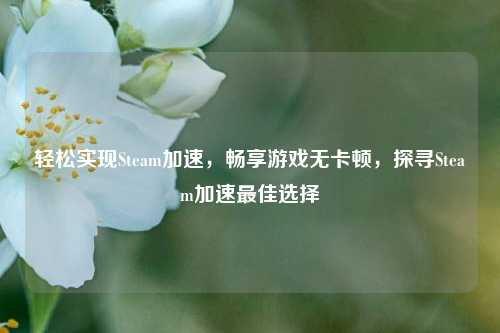 轻松实现Steam加速，畅享游戏无卡顿，探寻Steam加速最佳选择