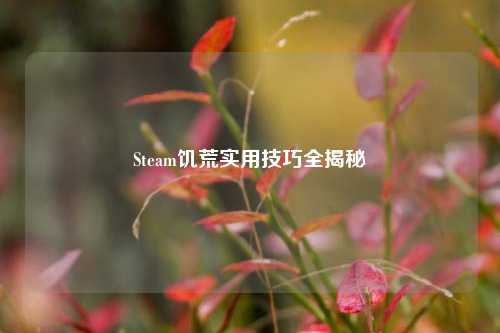 Steam饥荒实用技巧全揭秘