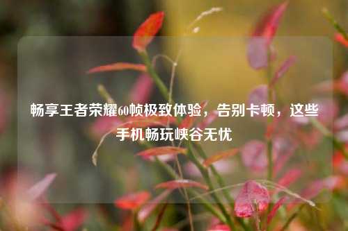 畅享王者荣耀60帧极致体验,告别卡顿,这些手机畅玩峡谷无忧