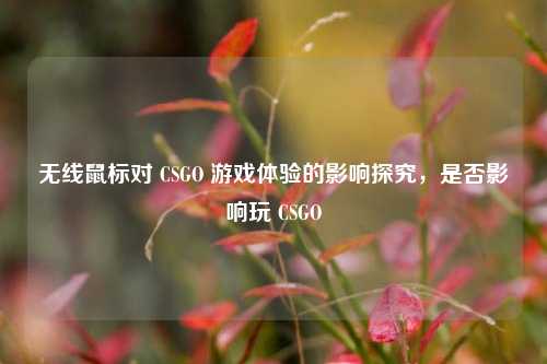 无线鼠标对 CSGO 游戏体验的影响探究，是否影响玩 CSGO