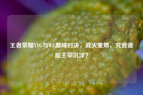 王者荣耀XYG与WE巅峰对决,战火重燃,究竟谁能主宰沉浮?