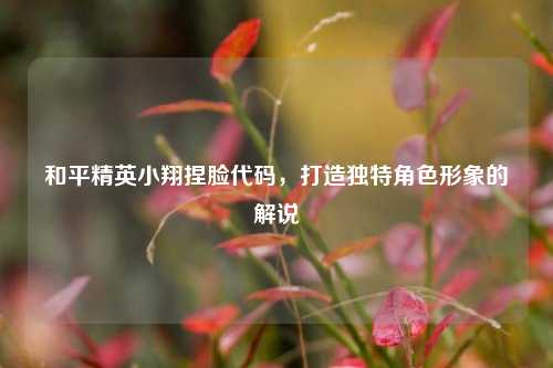 和平精英小翔捏脸代码，打造独特角色形象的解说