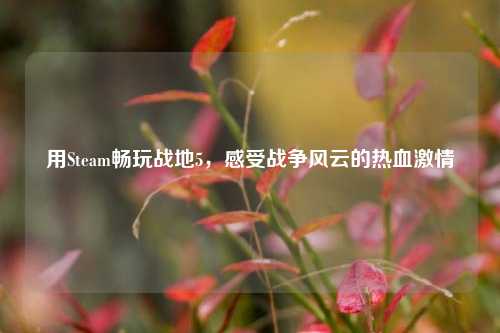 用Steam畅玩战地5,感受战争风云的热血激情