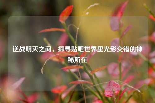 逆战明灭之间，探寻贴吧世界里光影交错的神秘所在