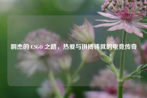 啊杰的 CSGO 之路，热爱与拼搏铸就的电竞传奇