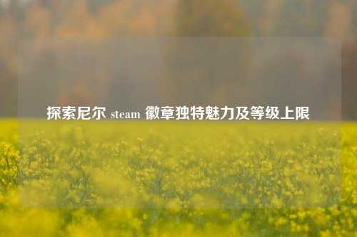 探索尼尔 steam 徽章独特魅力及等级上限