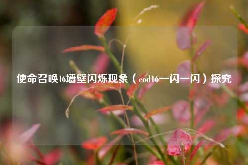 使命召唤16墙壁闪烁现象（cod16一闪一闪）探究