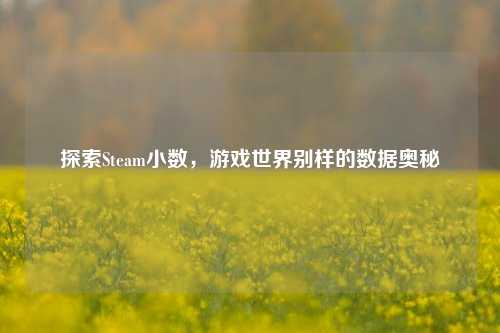探索Steam小数，游戏世界别样的数据奥秘