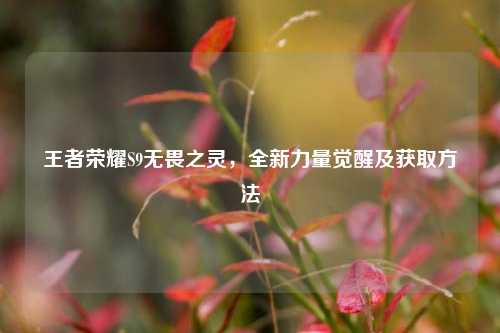 王者荣耀S9无畏之灵，全新力量觉醒及获取方法