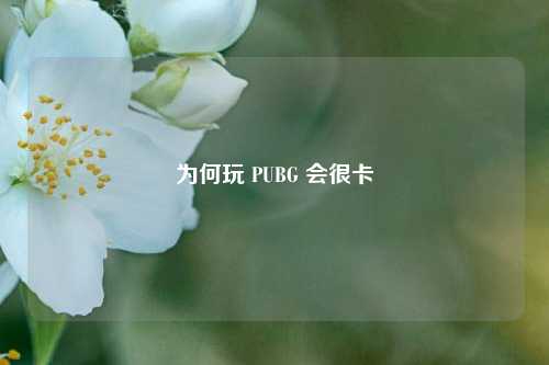 为何玩 PUBG 会很卡