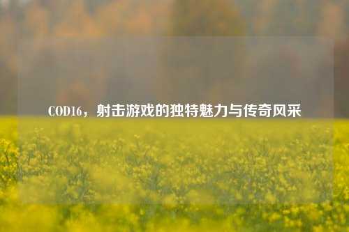 COD16，射击游戏的独特魅力与传奇风采