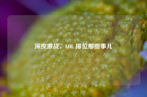 深夜激战，LOL 排位那些事儿