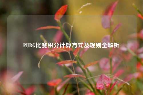 PUBG比赛积分计算方式及规则全解析
