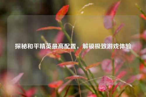 探秘和平精英最高配置，解锁极致游戏体验