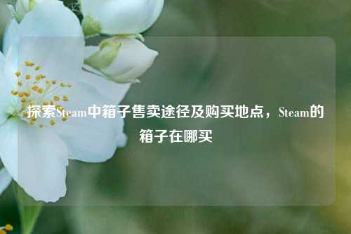 探索Steam中箱子售卖途径及购买地点,Steam的箱子在哪买