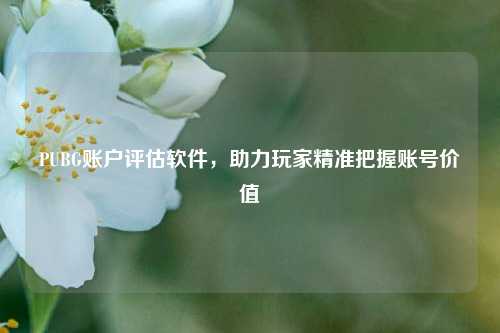 PUBG账户评估软件，助力玩家精准把握账号价值