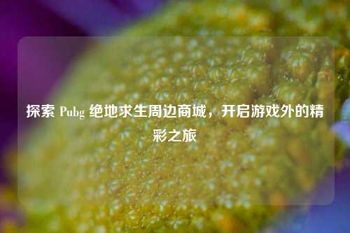 探索 Pubg 绝地求生周边商城，开启游戏外的精彩之旅