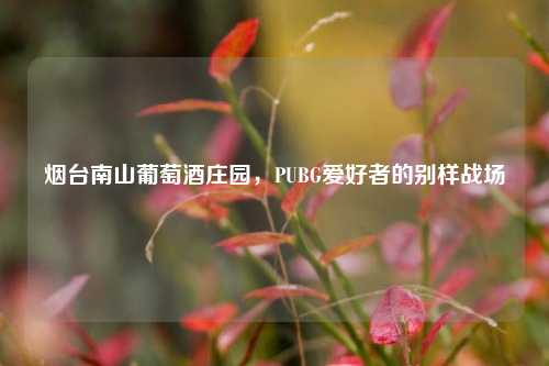 烟台南山葡萄酒庄园，PUBG爱好者的别样战场