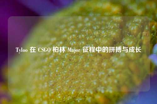 Tyloo 在 CSGO 柏林 Major 征程中的拼搏与成长