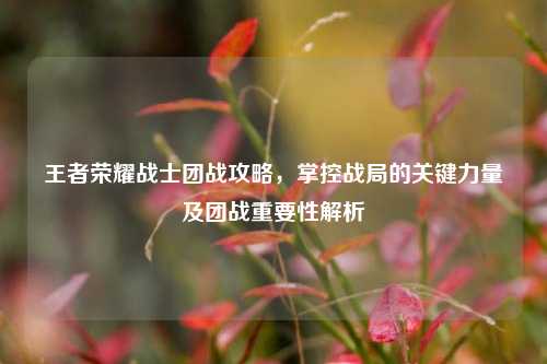 王者荣耀战士团战攻略,掌控战局的关键力量及团战重要性解析