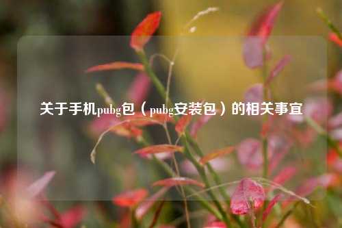 关于手机pubg包（pubg安装包）的相关事宜
