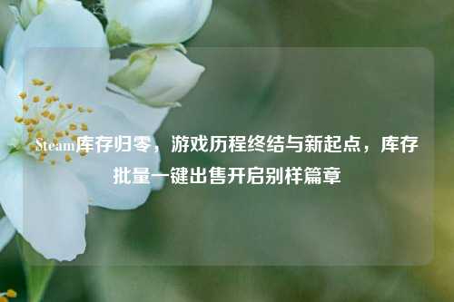 Steam库存归零，游戏历程终结与新起点，库存批量一键出售开启别样篇章