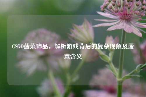 CSGO菠菜饰品，解析游戏背后的复杂现象及菠菜含义