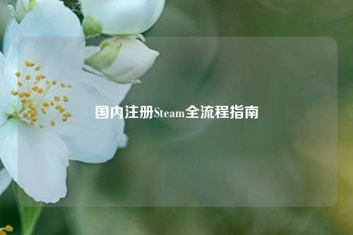 国内注册Steam全流程指南