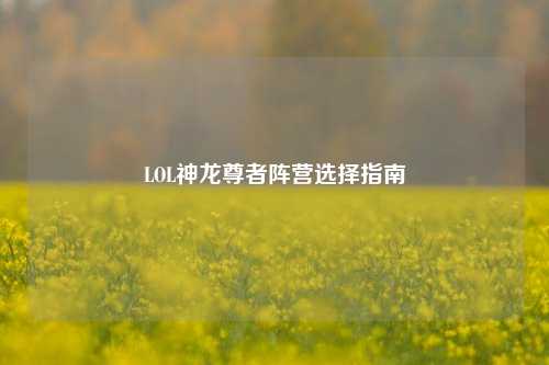 LOL神龙尊者阵营选择指南