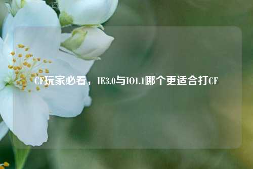 CF玩家必看，IE3.0与IO1.1哪个更适合打CF