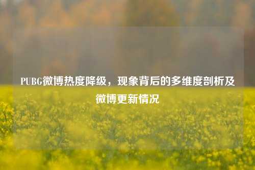 PUBG微博热度降级，现象背后的多维度剖析及微博更新情况