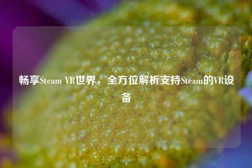 畅享Steam VR世界,全方位解析支持Steam的VR设备