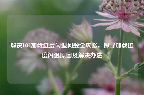 解决LOL加载进度闪退问题全攻略，探寻加载进度闪退原因及解决办法