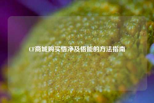 CF商城购买悟净及悟能的方法指南