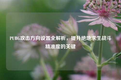 PUBG攻击方向设置全解析,提升绝地求生战斗精准度的关键