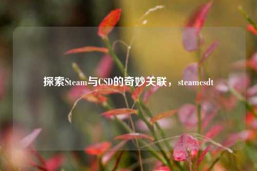 探索Steam与CSD的奇妙关联，steamcsdt