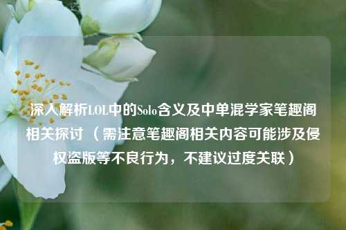 深入解析LOL中的Solo含义及中单混学家笔趣阁相关探讨 （需注意笔趣阁相关内容可能涉及侵权盗版等不良行为，不建议过度关联）