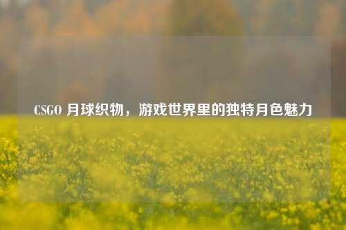 CSGO 月球织物,游戏世界里的独特月色魅力