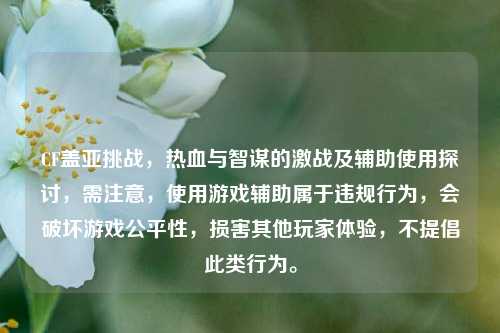 CF盖亚挑战，热血与智谋的激战及辅助使用探讨，需注意，使用游戏辅助属于违规行为，会破坏游戏公平性，损害其他玩家体验，不提倡此类行为。
